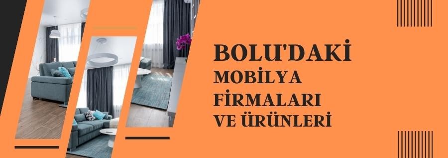 BOLU'DAKİ MOBİLYA FİRMALARI