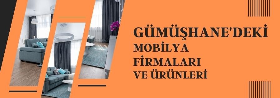 GÜMÜŞHANE'DEKİ MOBİLYA FİRMALARI