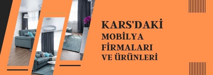 KARS'DAKİ MOBİLYA FİRMALARI